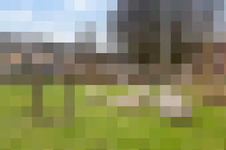 Maasstraat 19 Rozenburg thumbnail 42