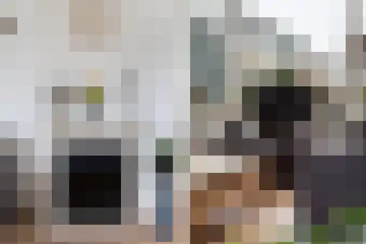 Maasstraat 19 Rozenburg thumbnail 8