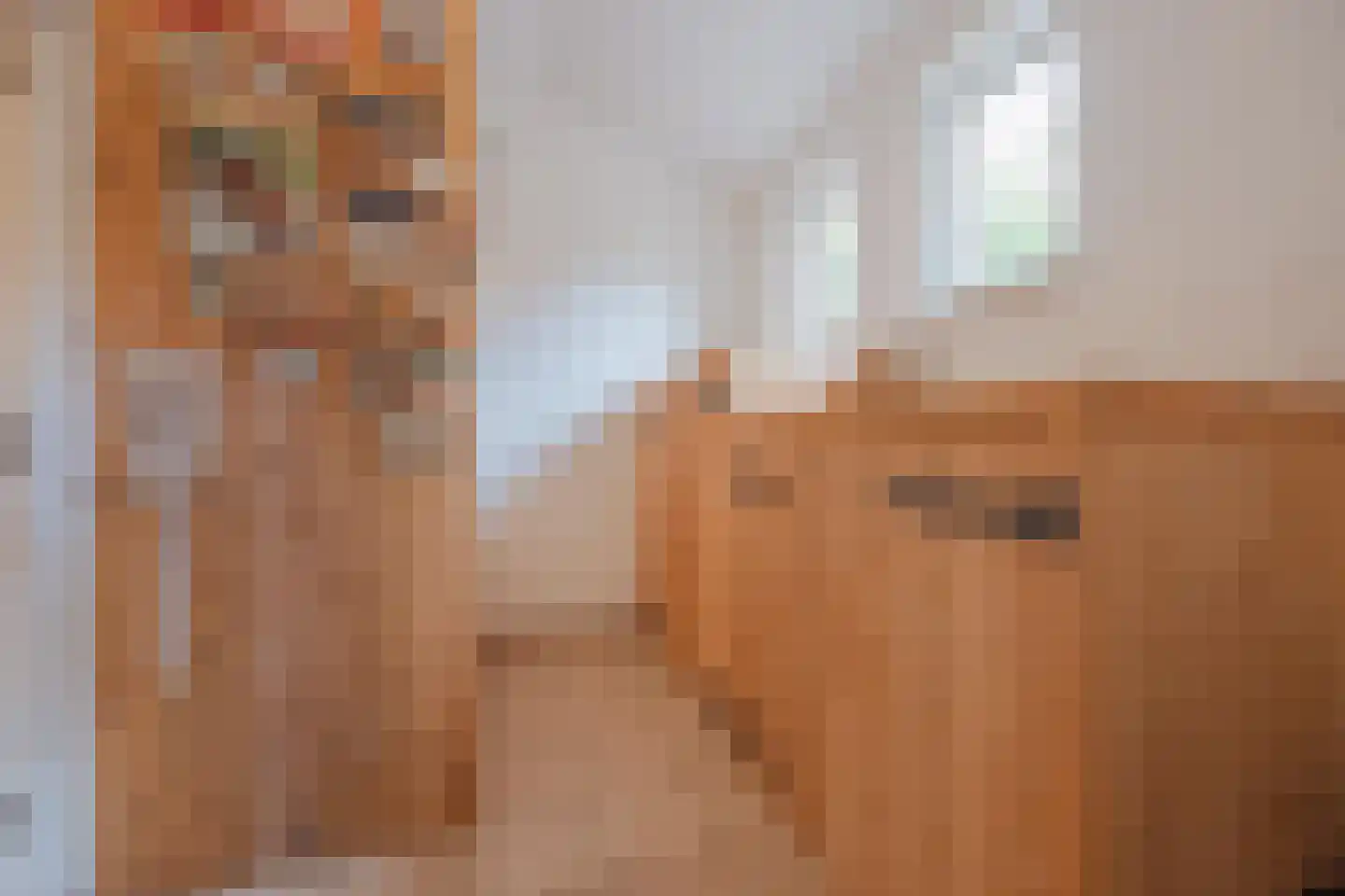 Maasstraat 2 b Broekhuizenvorst thumbnail 20