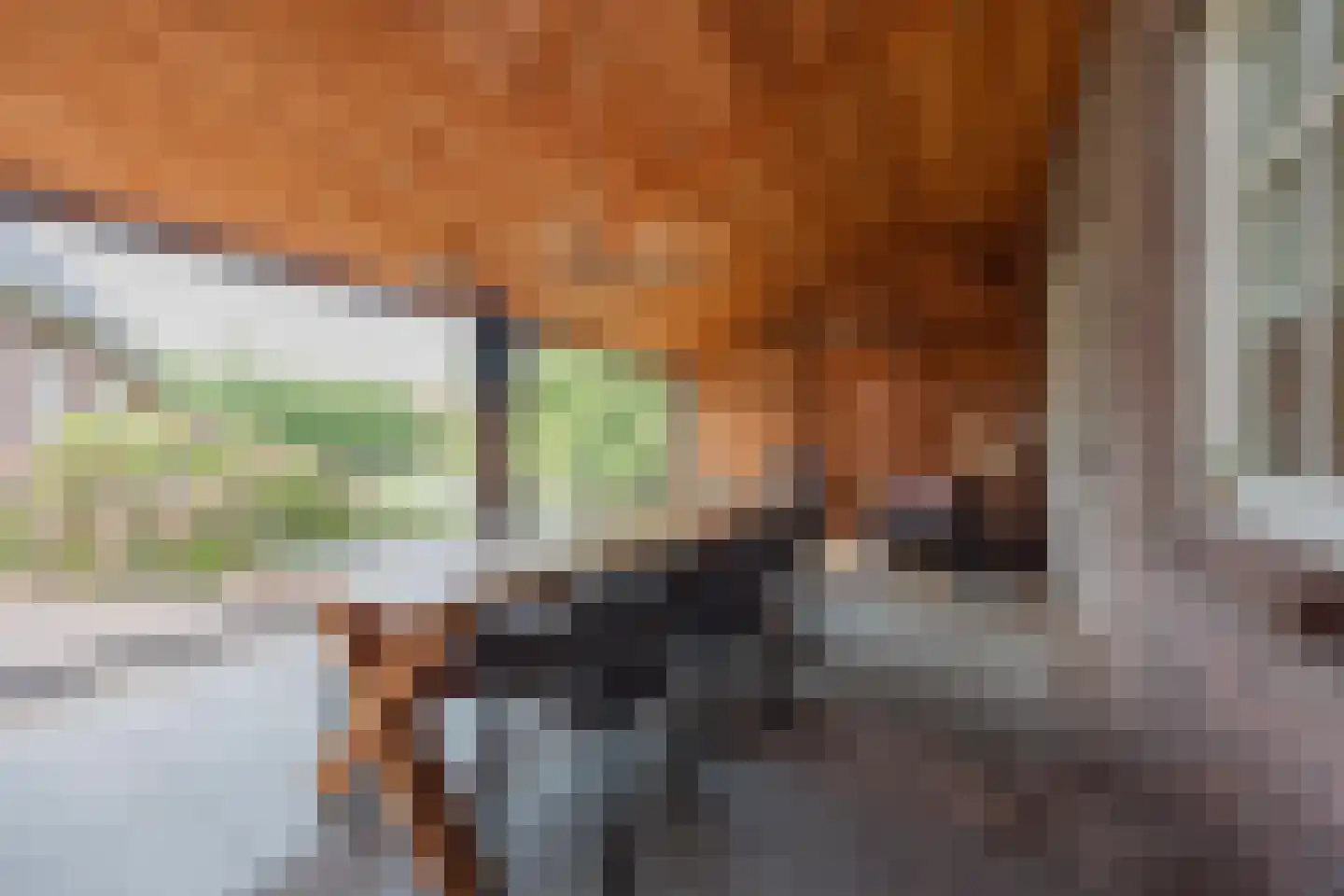 Maasstraat 2 b Broekhuizenvorst thumbnail 24