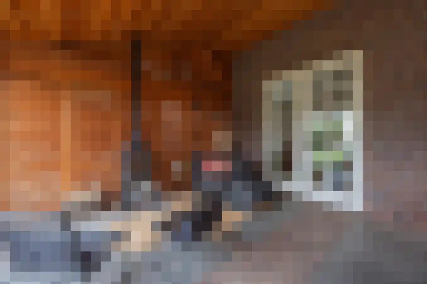 Maasstraat 2 b Broekhuizenvorst thumbnail 26