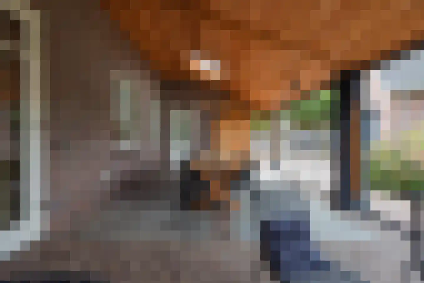 Maasstraat 2 b Broekhuizenvorst thumbnail 27