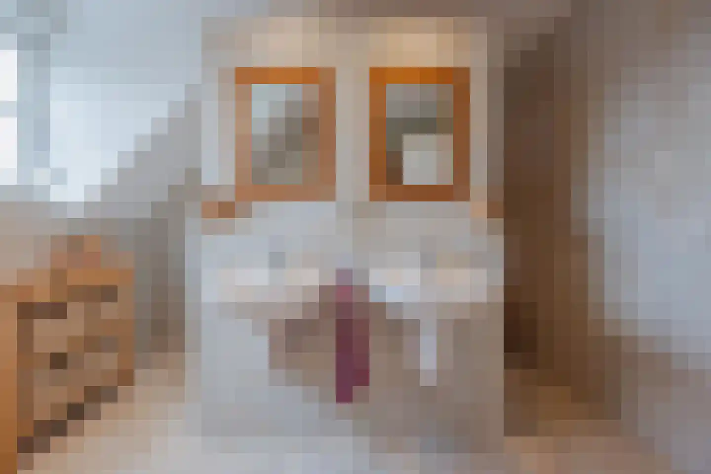 Maasstraat 2 b Broekhuizenvorst thumbnail 38