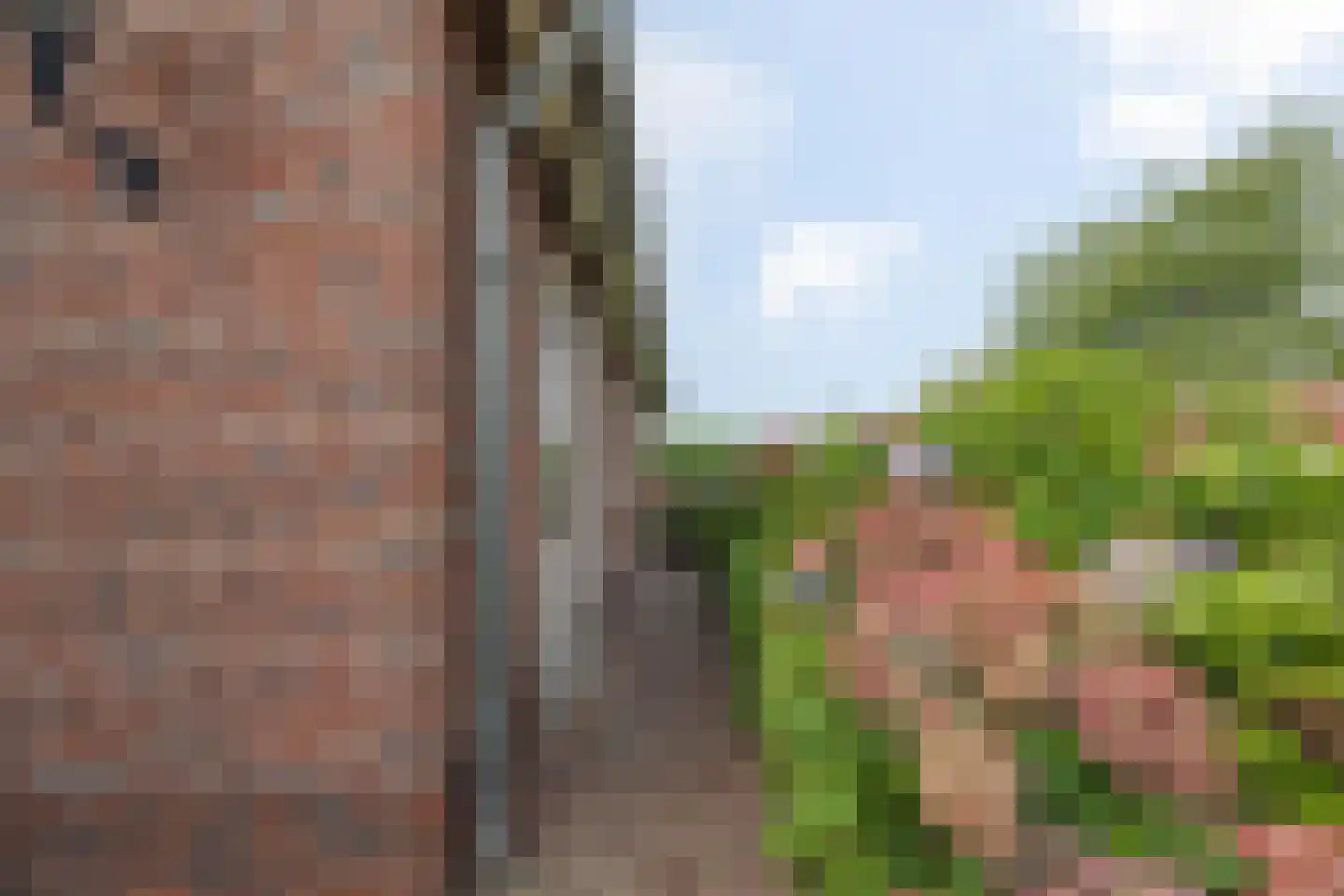 Maasstraat 2 b Broekhuizenvorst thumbnail 50