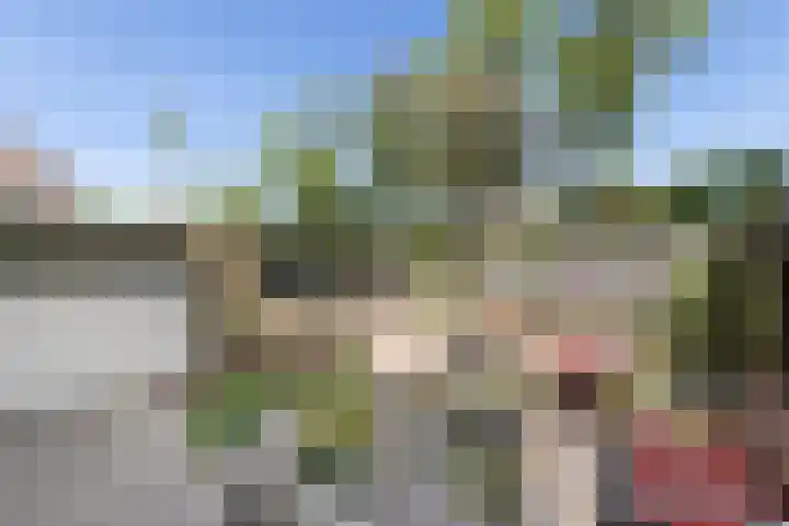 Maasstraat 2 Oost-Souburg thumbnail 16