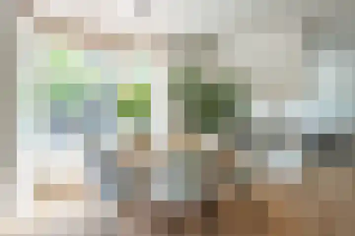 Maasstraat 20 1 Amsterdam thumbnail 10