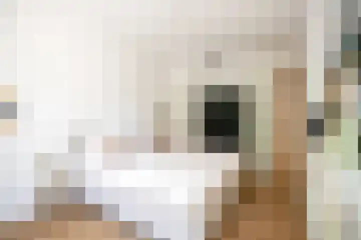 Maasstraat 20 1 Amsterdam thumbnail 20