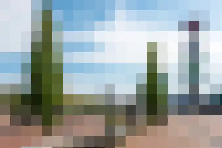 Maasstraat 20 1 Amsterdam thumbnail 30