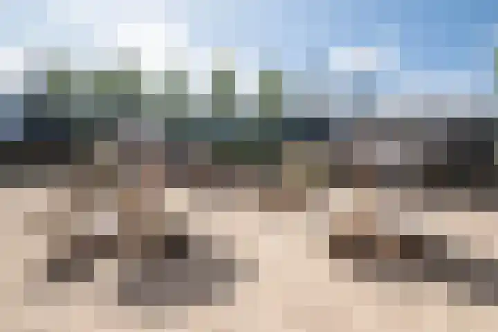 Maasstraat 20 1 Amsterdam thumbnail 31
