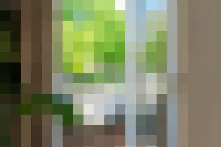 Maasstraat 20 1 Amsterdam thumbnail 8
