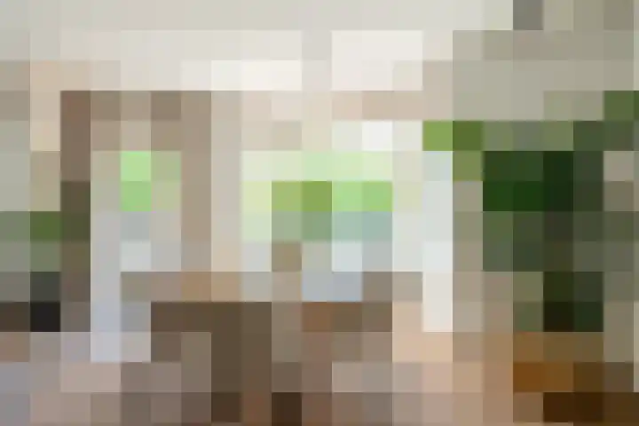 Maasstraat 20 1 Amsterdam thumbnail 9