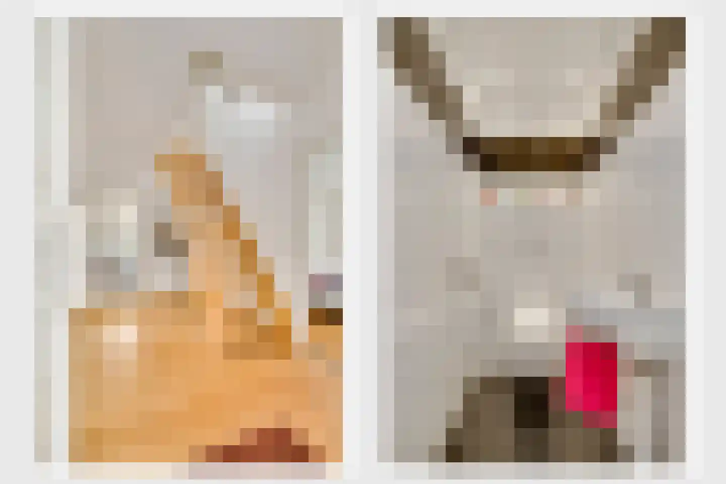 Maasstraat 20 Bunde thumbnail 11