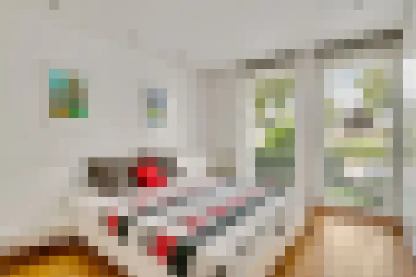 Maasstraat 20 Bunde thumbnail 12