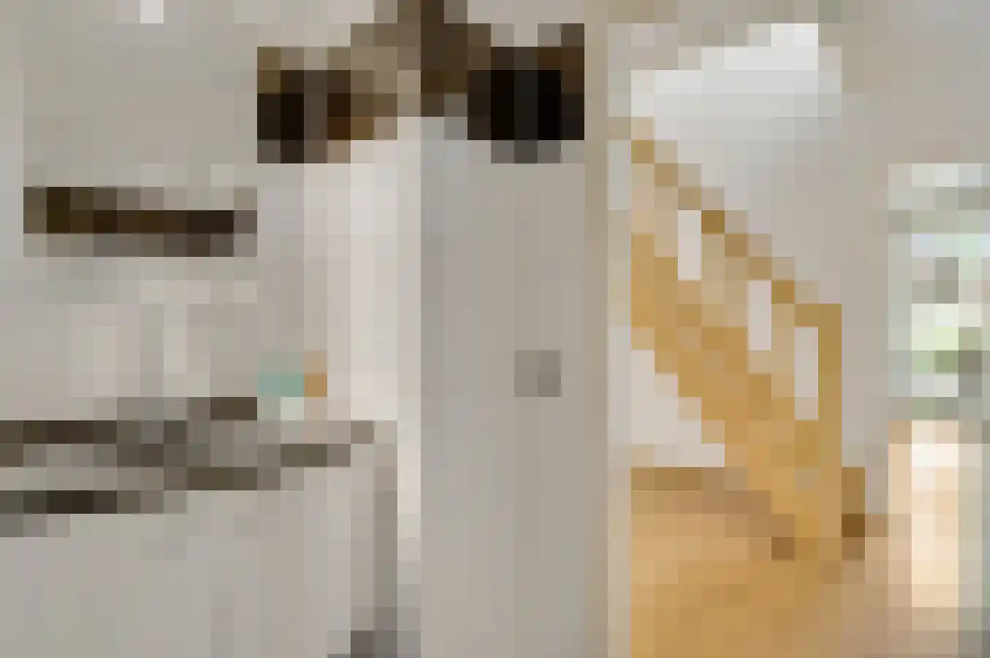 Maasstraat 20 Bunde thumbnail 14