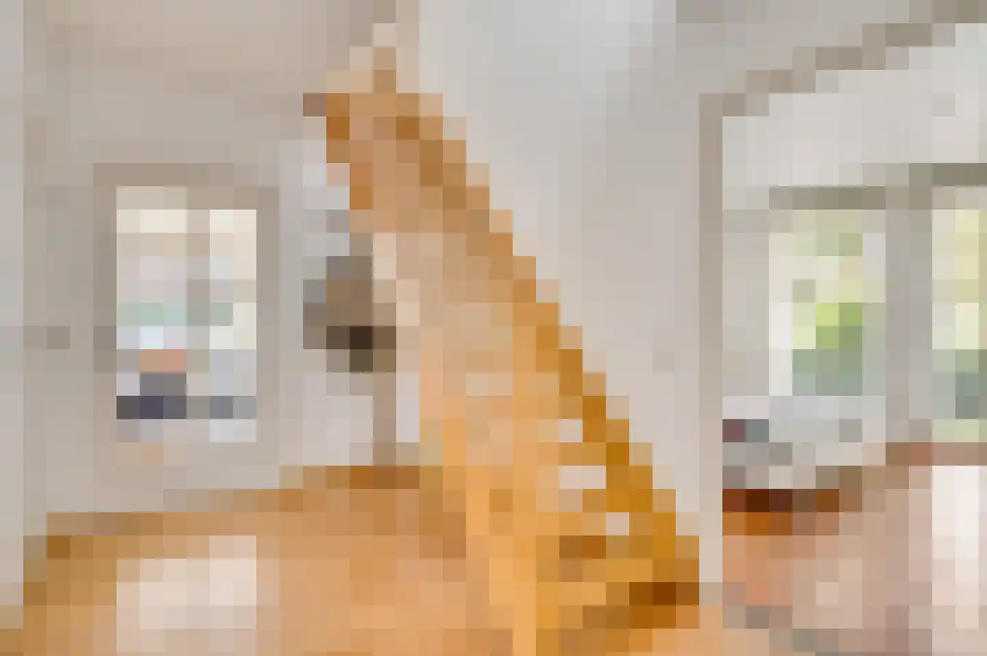 Maasstraat 20 Bunde thumbnail 15