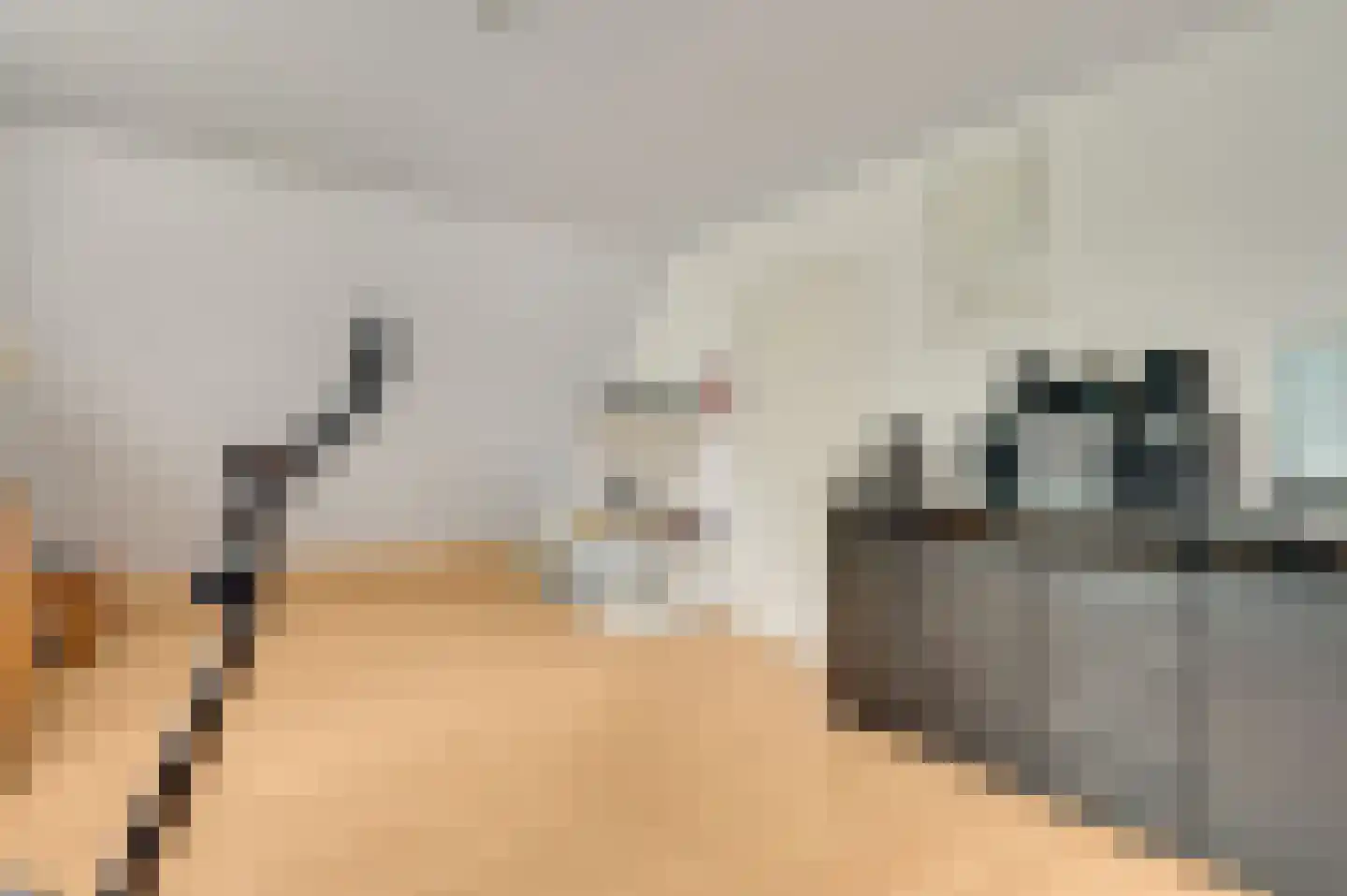 Maasstraat 20 Bunde thumbnail 17