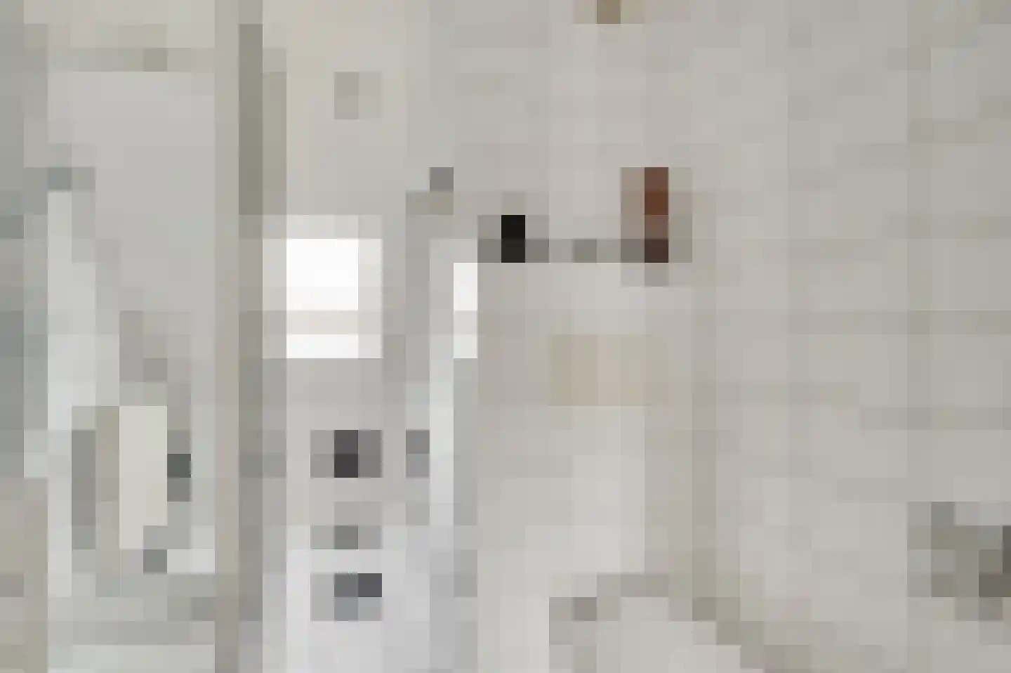 Maasstraat 20 Bunde thumbnail 22