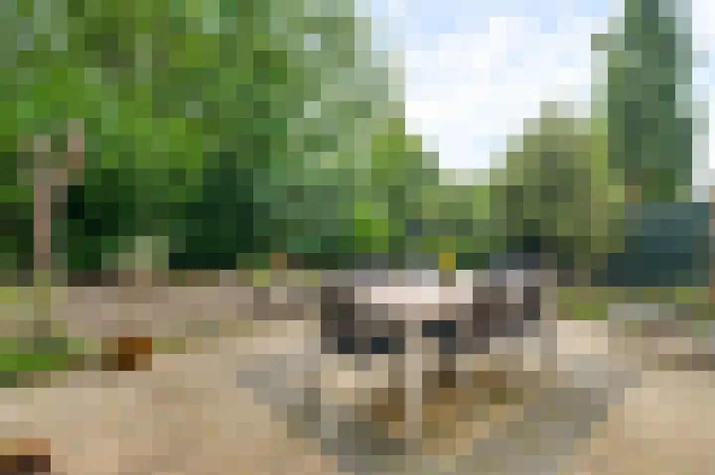 Maasstraat 20 Bunde thumbnail 23