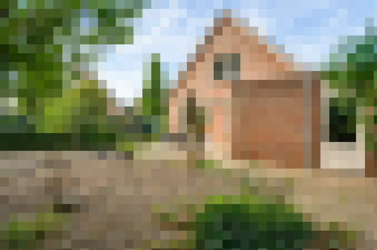 Maasstraat 20 Bunde thumbnail 24