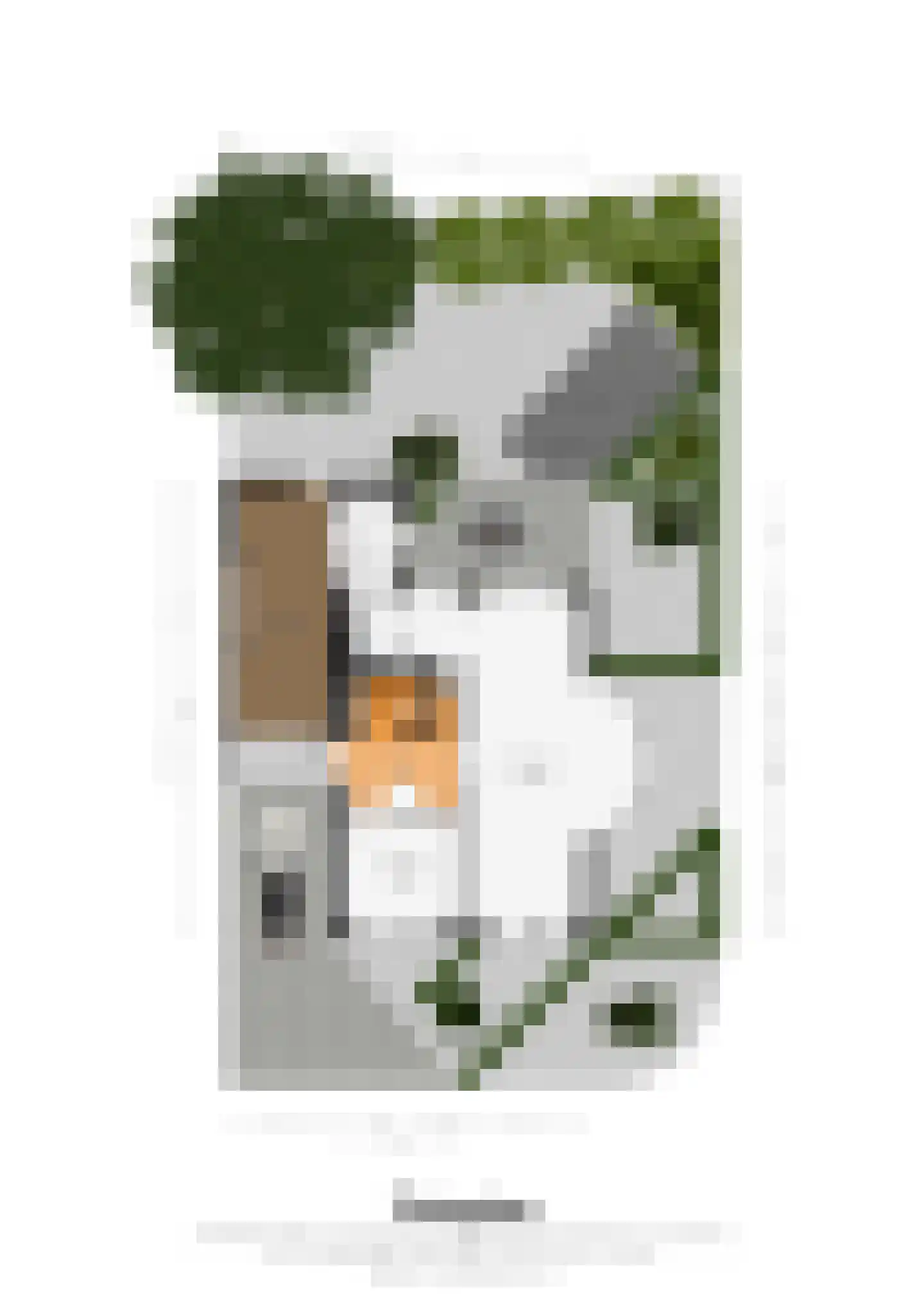 Maasstraat 20 Bunde thumbnail 26