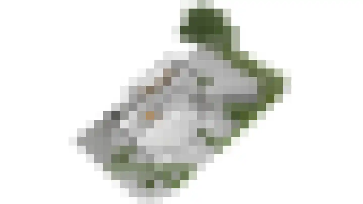 Maasstraat 20 Bunde thumbnail 27