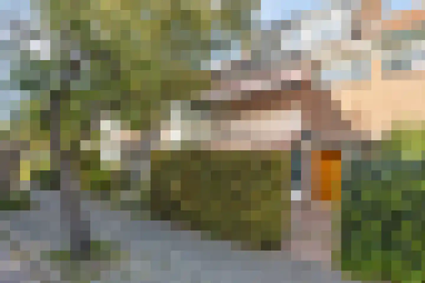 Maasstraat 20 Leiden thumbnail 5