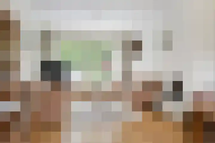 Maasstraat 20 Nieuwegein thumbnail 4