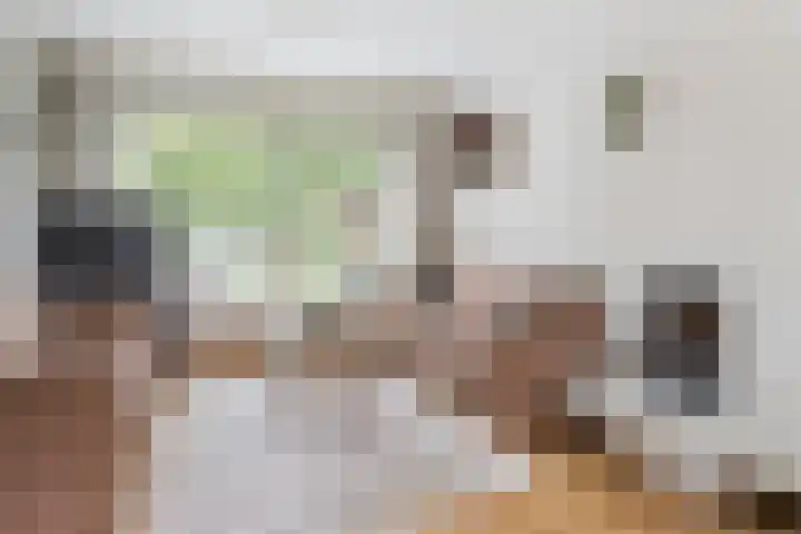 Maasstraat 20 Nieuwegein thumbnail 5