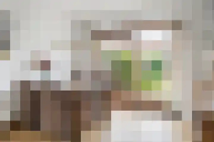 Maasstraat 20 Nieuwegein thumbnail 8