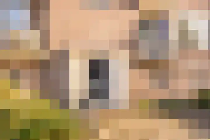 Maasstraat 20 Purmerend thumbnail 22