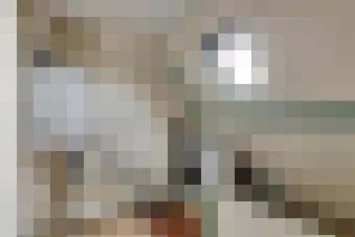 Maasstraat 21 Amersfoort thumbnail 23