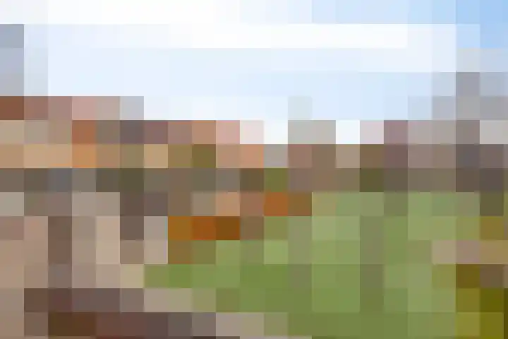 Maasstraat 21 Amersfoort thumbnail 4