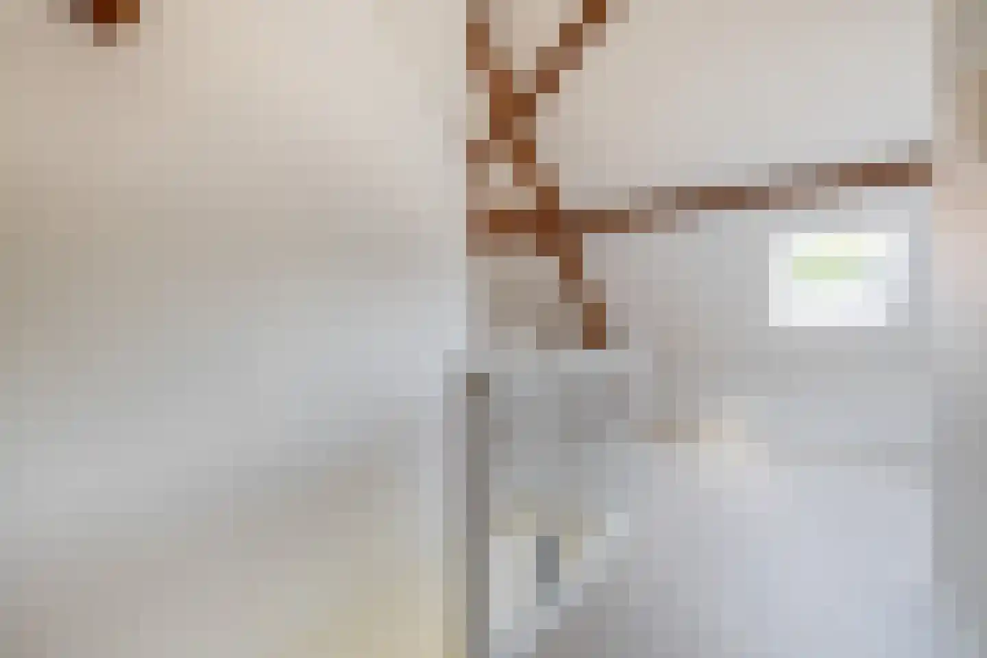 Maasstraat 21 Steyl thumbnail 19