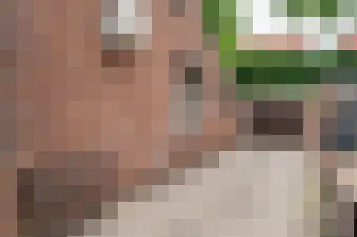 Maasstraat 21 Steyl thumbnail 34