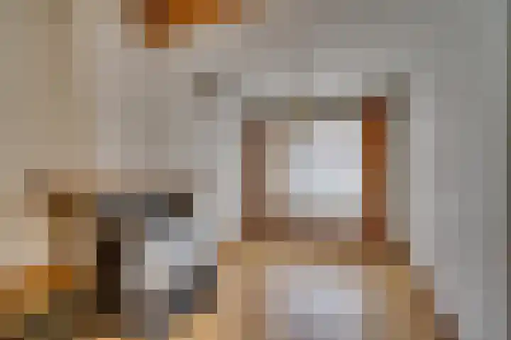 Maasstraat 21 Steyl thumbnail 4
