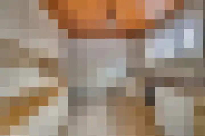 Maasstraat 21 Steyl thumbnail 7