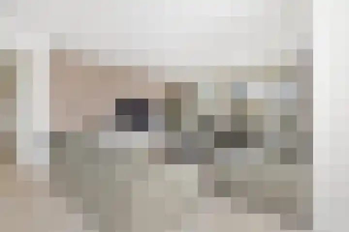 Maasstraat 22 Uden thumbnail 10