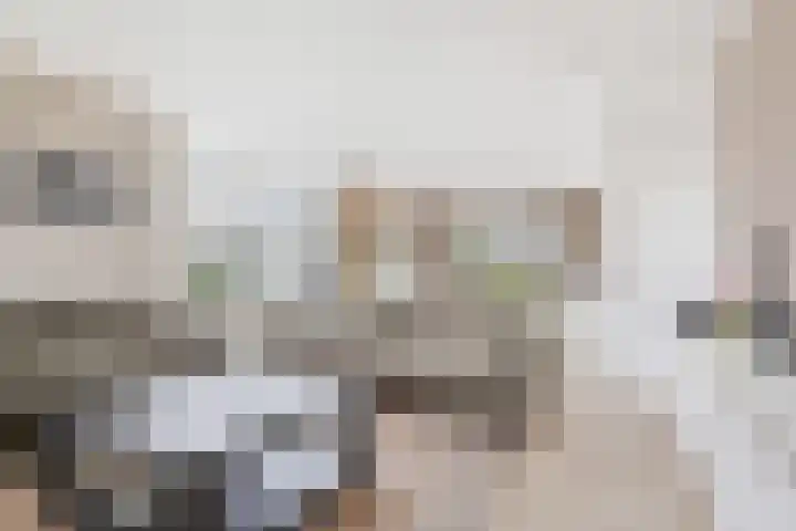 Maasstraat 22 Uden thumbnail 12
