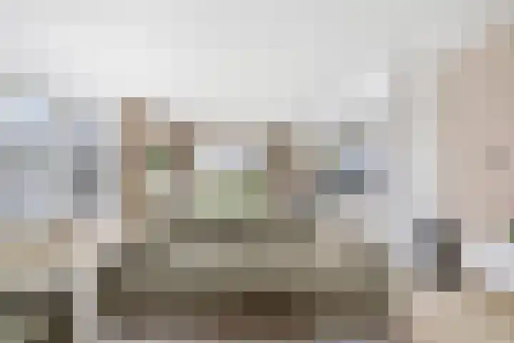 Maasstraat 22 Uden thumbnail 13