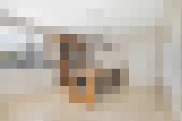 Maasstraat 22 Uden thumbnail 18