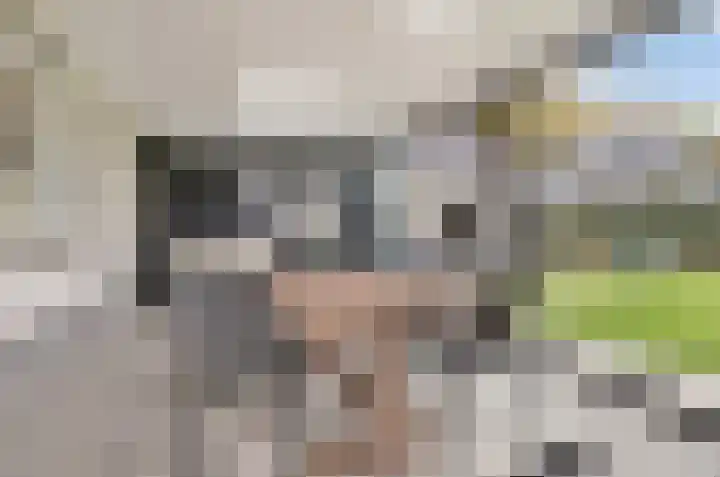 Maasstraat 22 Uden thumbnail 24