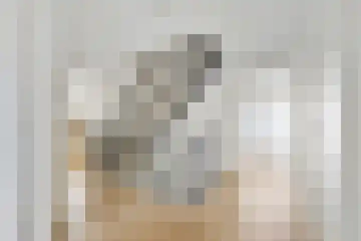 Maasstraat 22 Uden thumbnail 25
