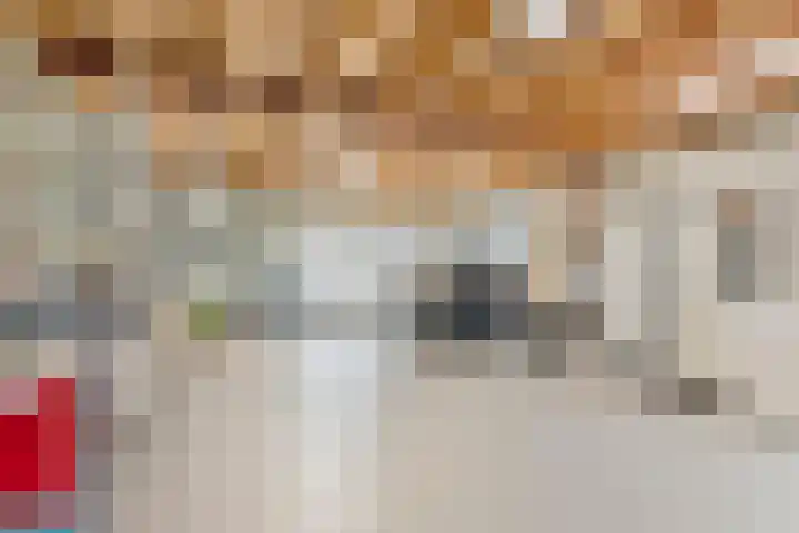 Maasstraat 22 Uden thumbnail 45