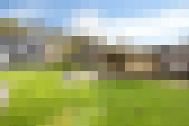Maasstraat 22 Uden thumbnail 53
