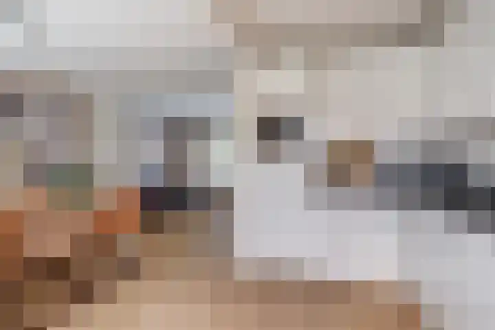 Maasstraat 23 Nieuwegein thumbnail 7