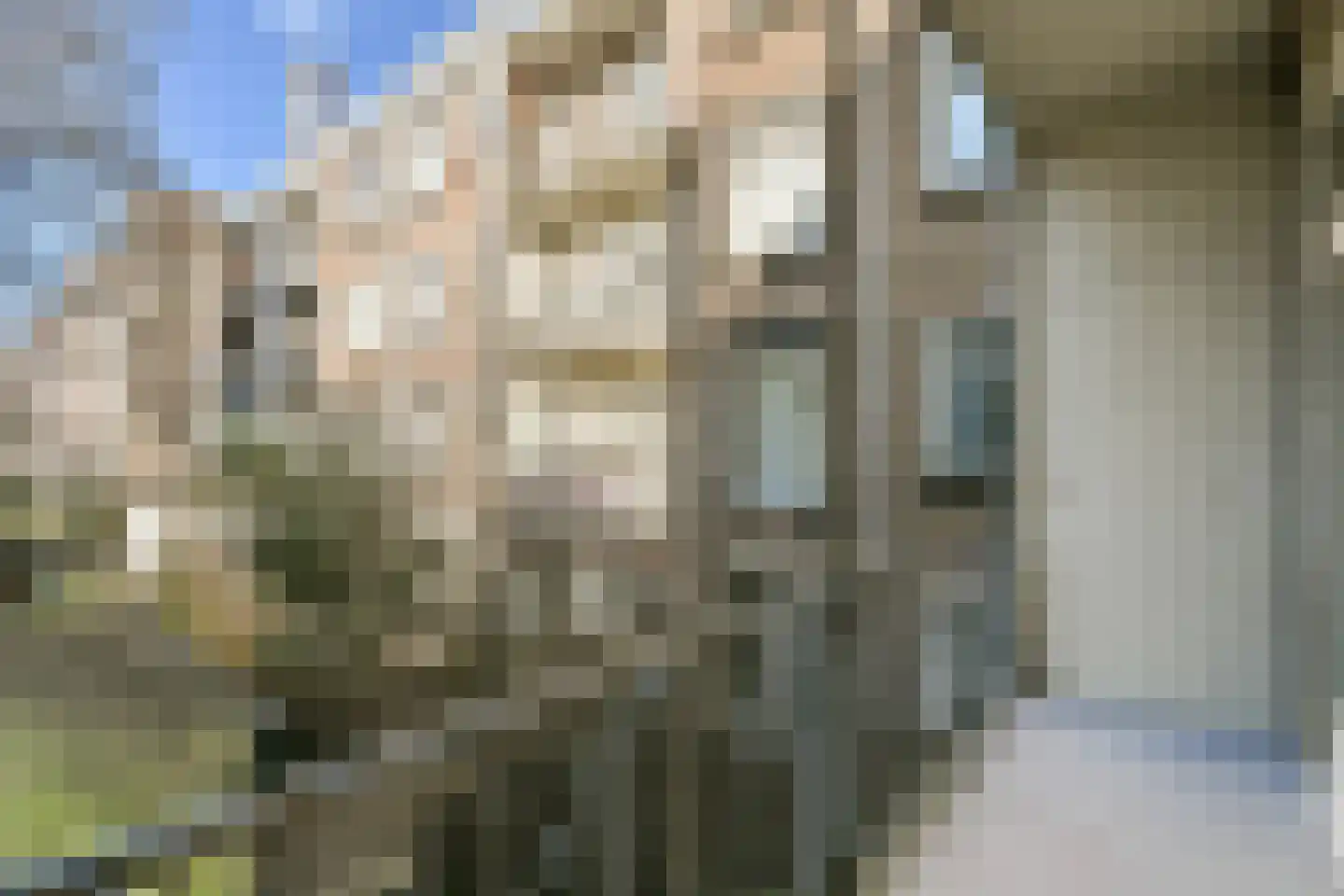 Maasstraat 24 2 Amsterdam thumbnail 17