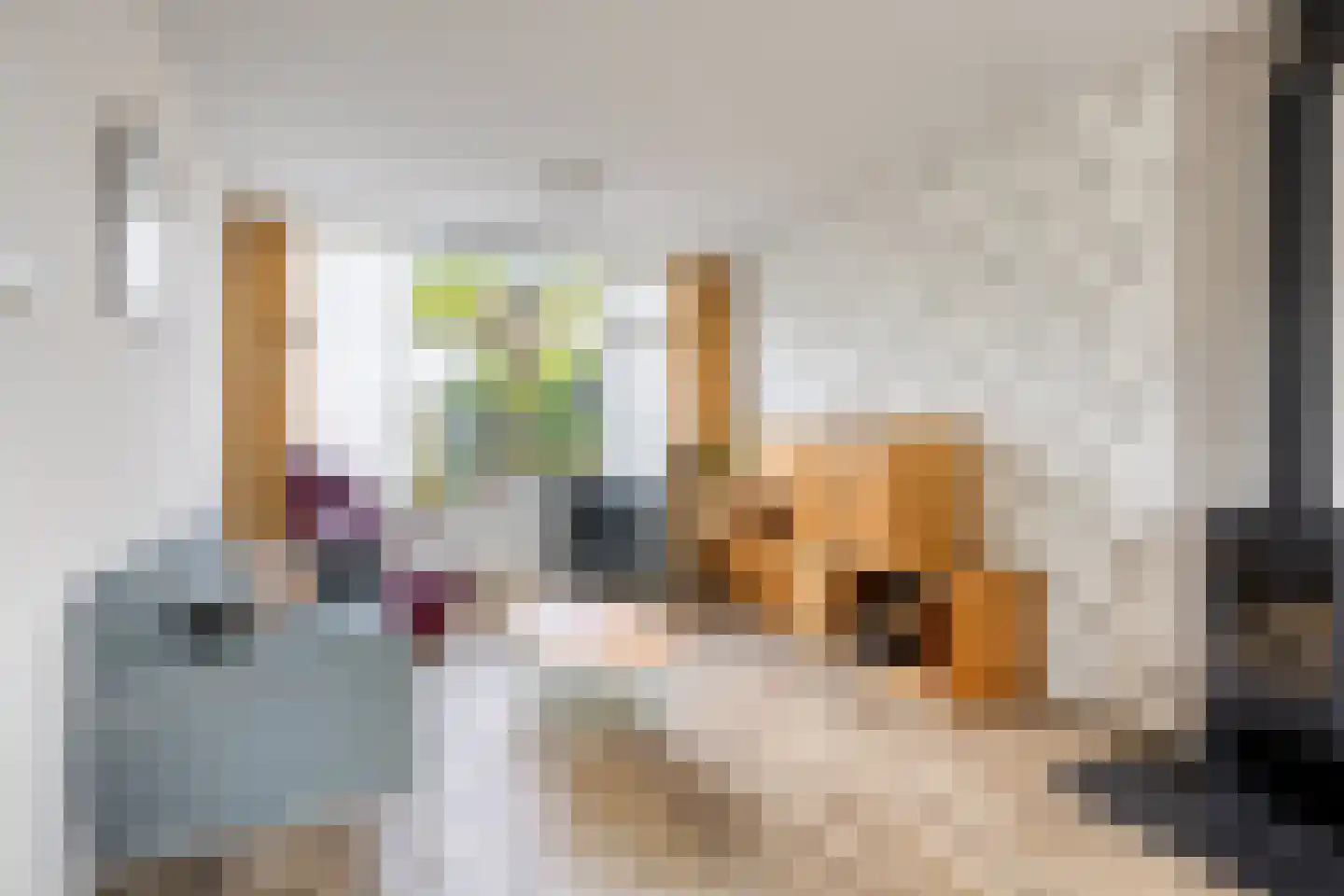 Maasstraat 24 Alkmaar thumbnail 11