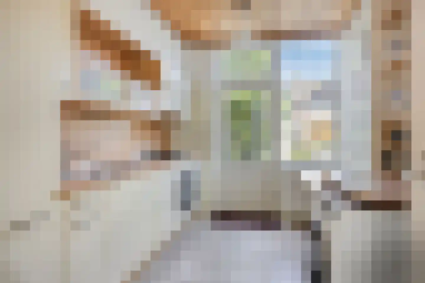 Maasstraat 24 Alkmaar thumbnail 18