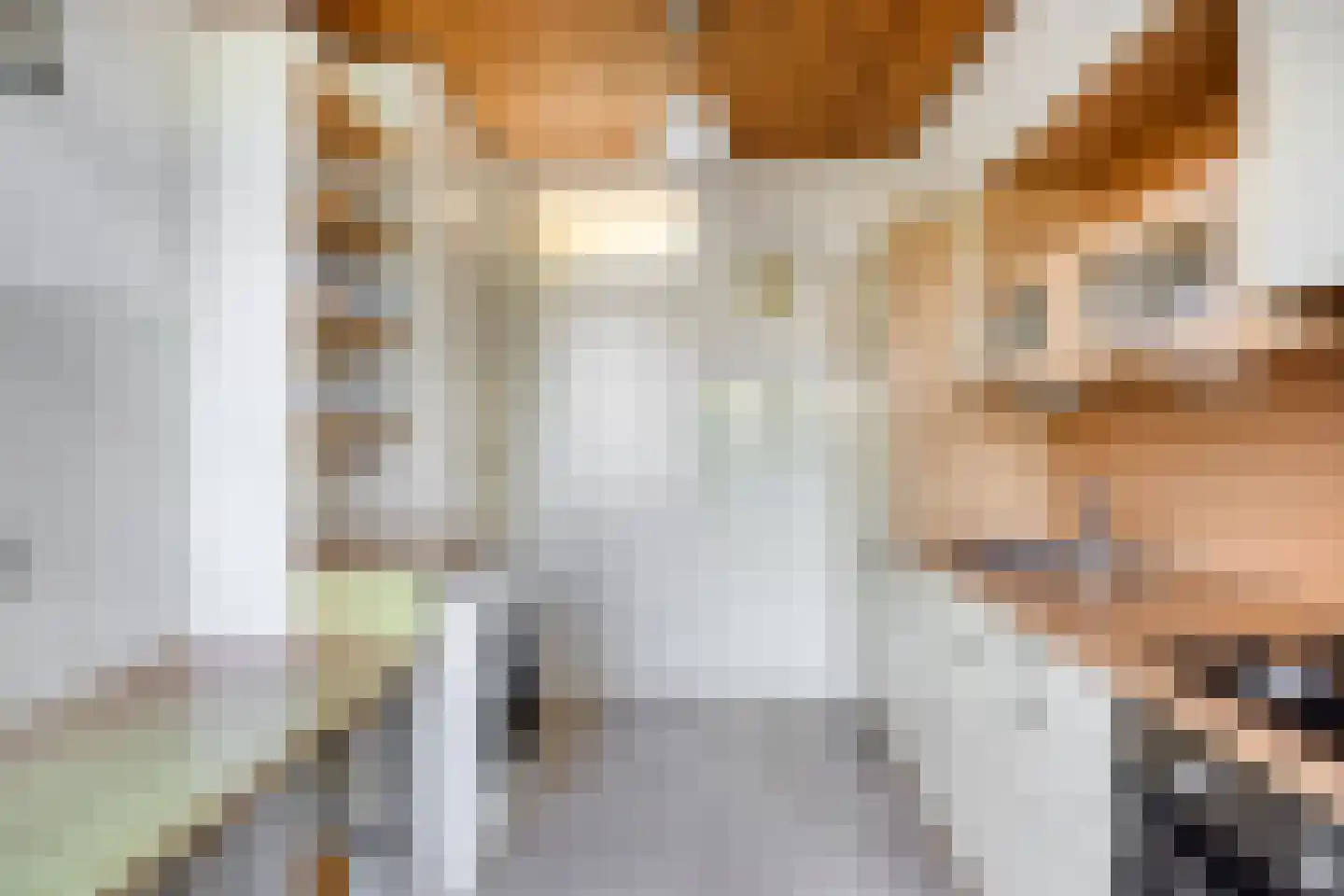 Maasstraat 24 Alkmaar thumbnail 19