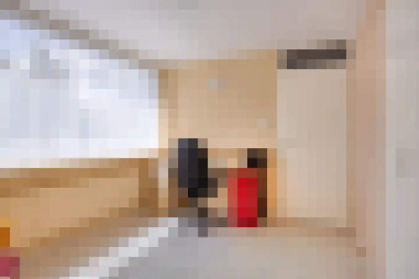 Maasstraat 24 Alkmaar thumbnail 27